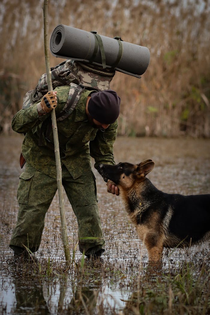 A man in camouflage with a German Shepherd on a swamp hike in Astara, showcasing adventure and companionship.