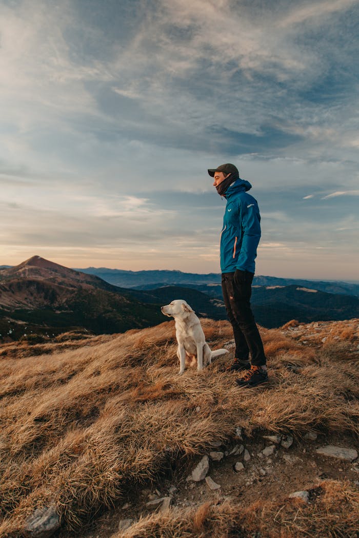A man and his dog enjoy a scenic mountain view at sunset, embracing nature's tranquility.